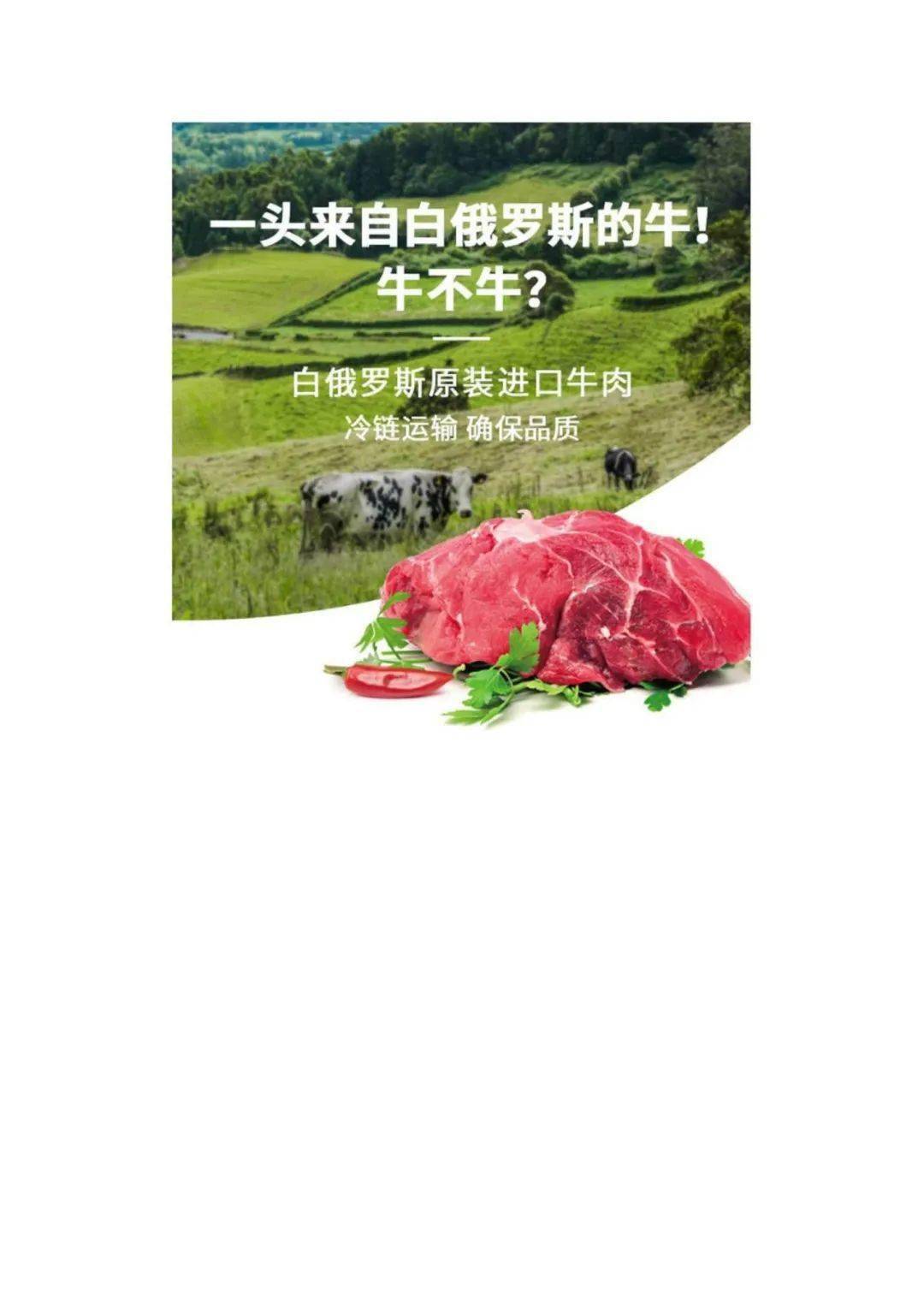 进口白俄罗斯带骨四分体牛肉,加工分切成部位肉!