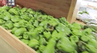 检测|新疆本轮疫情密切接触者多已发病，官方作出重要判断