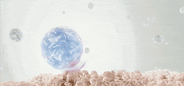 si|撩汉必备!这款神奇香水,开启女人由内而外的极致性感!