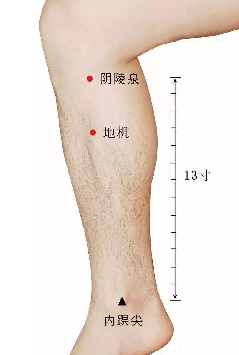 史上最全痛症针灸治疗(七字歌诀 穴位图解)