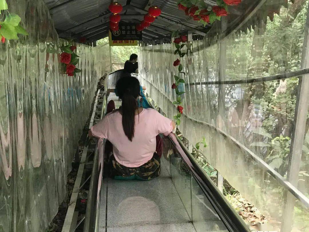 户外活动打卡余姚丹山赤水玻璃栈道