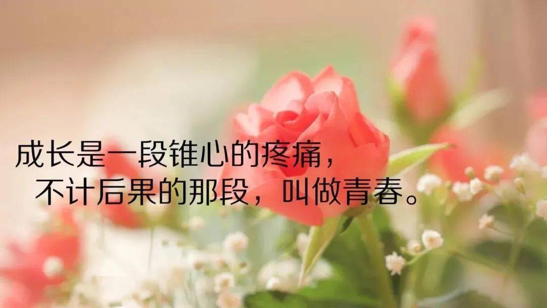 dcdd994c8219484999c26b85a2e3db58.jpeg