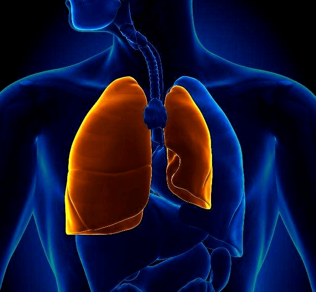 胸腔形成气胸,如慢性支气管炎,尘肺支气管哮喘等引起的阻塞性肺性疾患