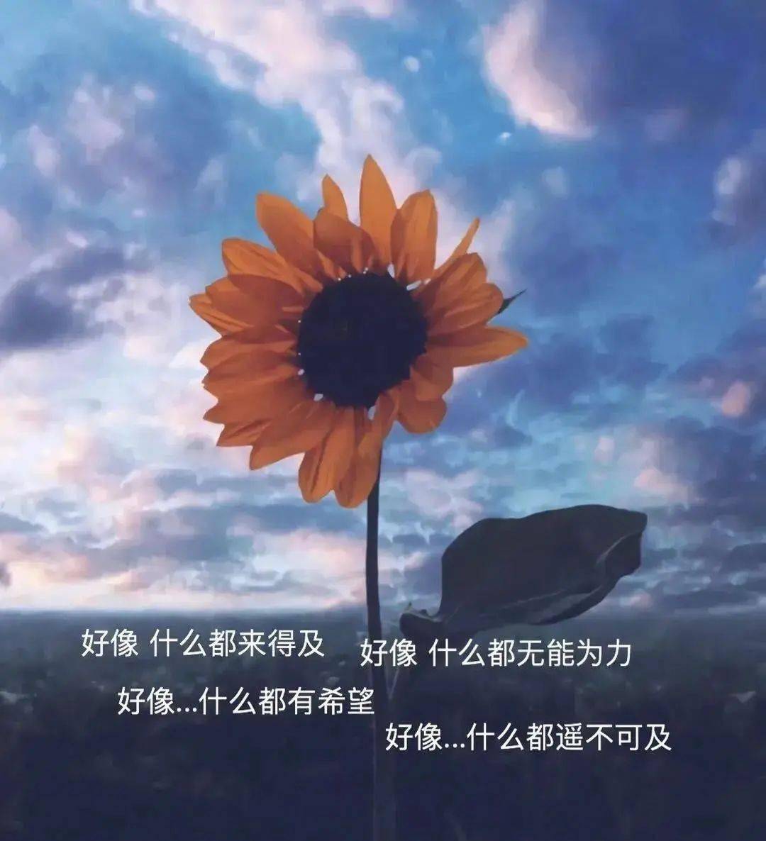 朋友圈背景图 丨各自努力