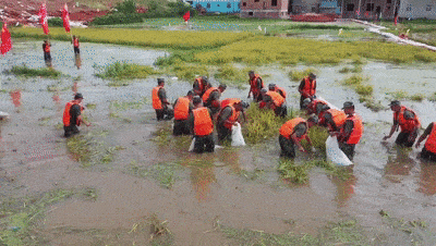 400_226gif 动态图 动图