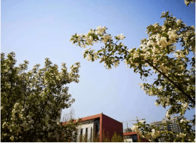 征文|【我在一中经开等你】征文展 第四十八期