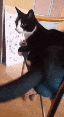 一顿操作猛如虎,结果是自己人 ③