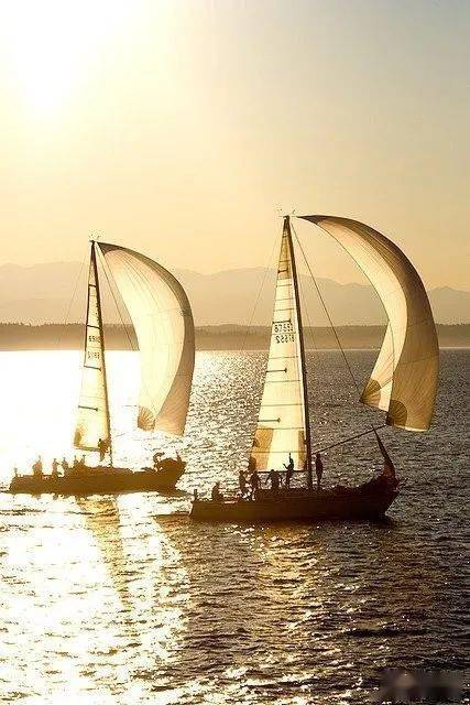 大航海时代起源最快的船 a16662d0d62a4fc997dc155e2dd8b608.jpeg