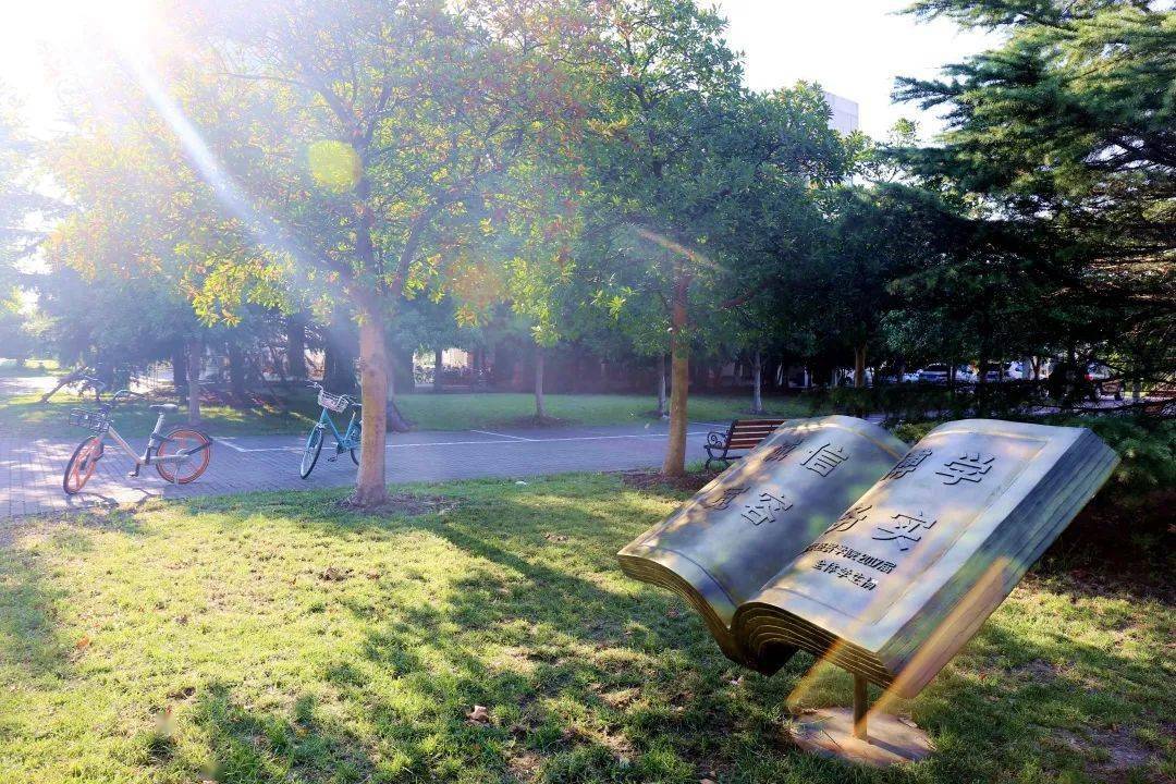 556分2020年排名次_2020河南高招錄取分數線公布:一本文科556理科544