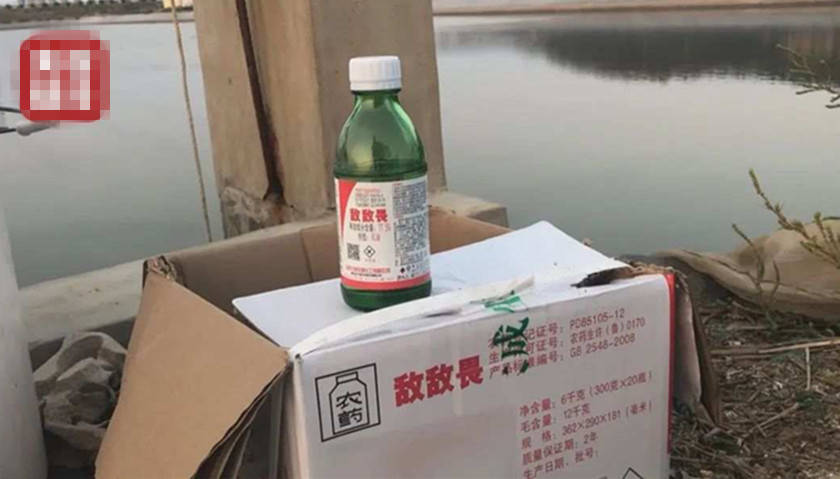 文章配图