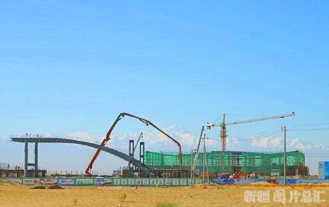 2020年新疆研究生成_持续治理20年塔河下游形成绿色走廊孕育新