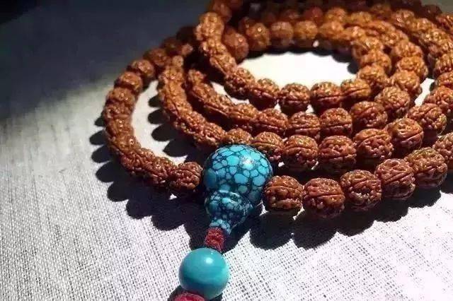 要点|菩提搭它，惊艳！