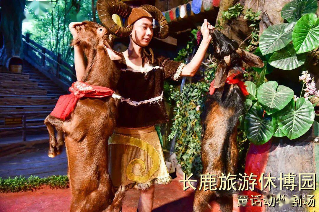 长鹿暑期嘉年华来了自助餐温泉水世界动物园主题乐园等一票通玩