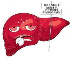 药物性肝损伤怎么治疗 9333ceef4cc44148a568a6f4bc78c84e.jpeg