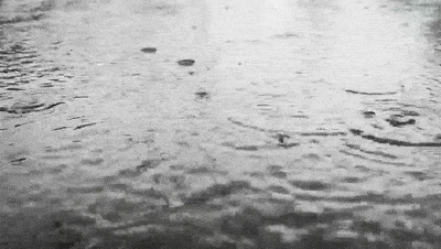 截至7月23日18时统计,受灾人口723.1万人,农作物受灾面积856.