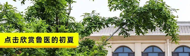 齐鲁|招生季 | 齐鲁医药学院“拍了拍”你招生简章了解一下