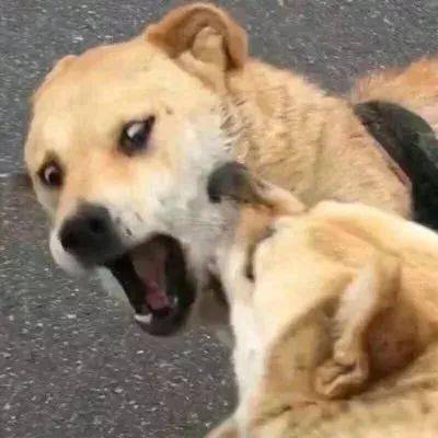 特别污情侣头像摸下面一人一半图片