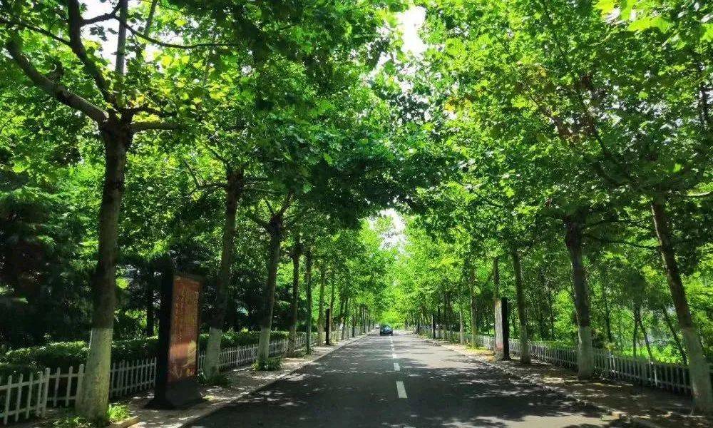 教学|招生季 | 山东外国语职业技术大学“拍了拍”你招生简章了解一下