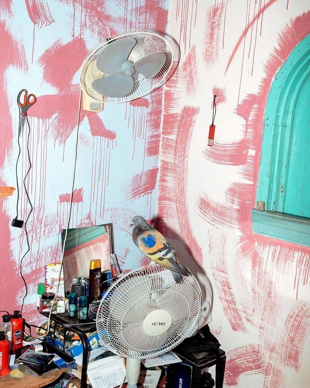 tag|安特卫普&加勒比文化哪个tag更具吸引力？反时尚的不羁操作非Botter双璧莫属