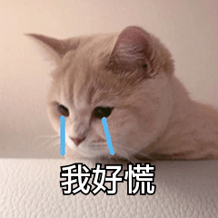 反应|查到高考分数的瞬间，他们的反应太太太真实了