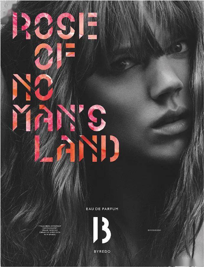 玫瑰|最近让我觉得好玩儿的事儿