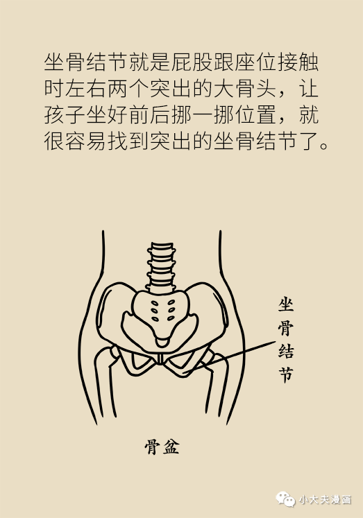 坐骨结节就是屁股跟座位接触时左右两个突出的大骨头,让孩子做好前后