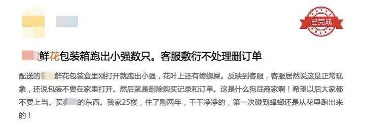 鲜花|99包月的白菜价鲜花，你买过吗？