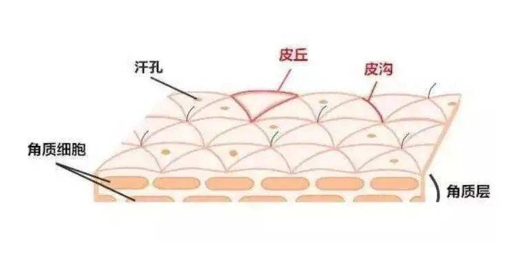 护肤也有仪式感?多做几个小动作或许能够帮上忙_皮肤