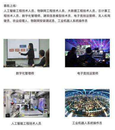 李佳琦|薇娅李佳琦正式成为人社部互联网营销师，未来5年新职业需求超3000万
