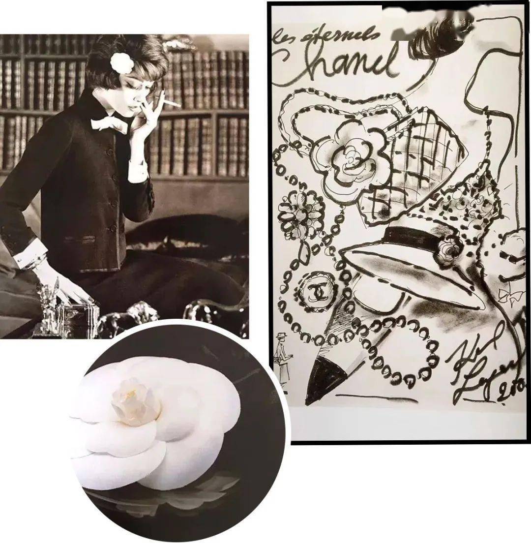 寓所|花16W买香奈儿值吗？值！！！