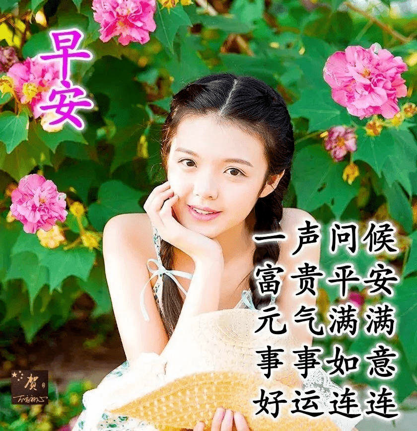 6张最新夏日早上好问候美女动画表情图片 美女早安问候祝福语图片精选