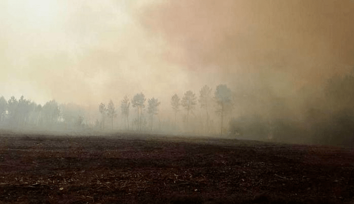 时间|早安山东｜《直通山东高考》高考招生咨询会在省内各市举行；第三届进博会2020年11月5日至10日在上海举行；2019-2020赛季CBA季后赛7月31日正式开打
