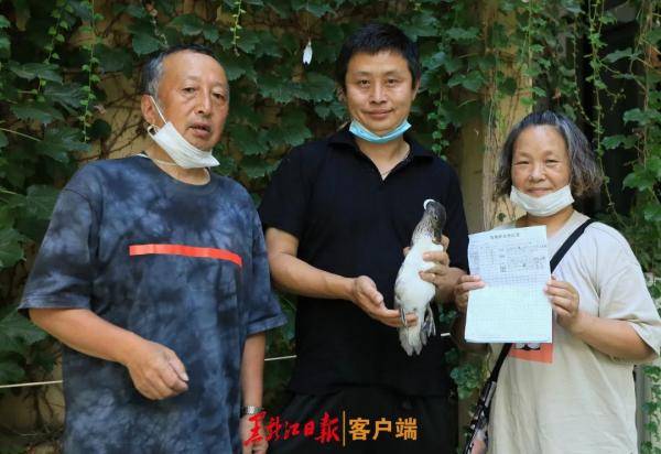 鸳鸯|哈尔滨鸳鸯咋拿到了中科院的“身份证”？