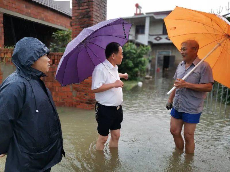 突如其来的强降雨,新兴村朱刘,小王,汤东,汤南等村民组不同程度上水