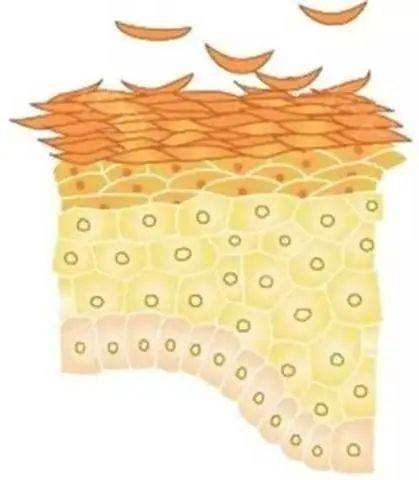 同事|三十而已,凭啥被00后同事比下去了?