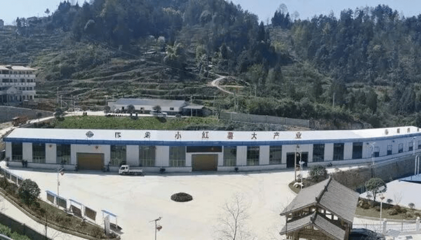 储寨村人口(3)