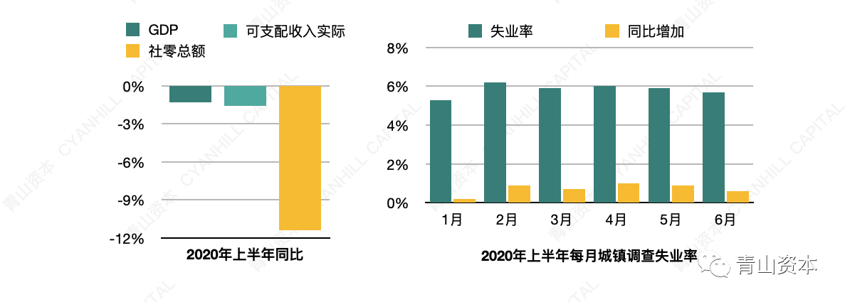 青山資本2020年中消費報告：年輕消費者的真實心態和一些有趣而獨特的現象 科技 第5張