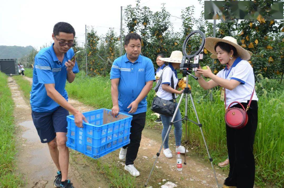 桃源县热市镇,当地网点除了做好快递服务外,农产品电商也做得有声有色