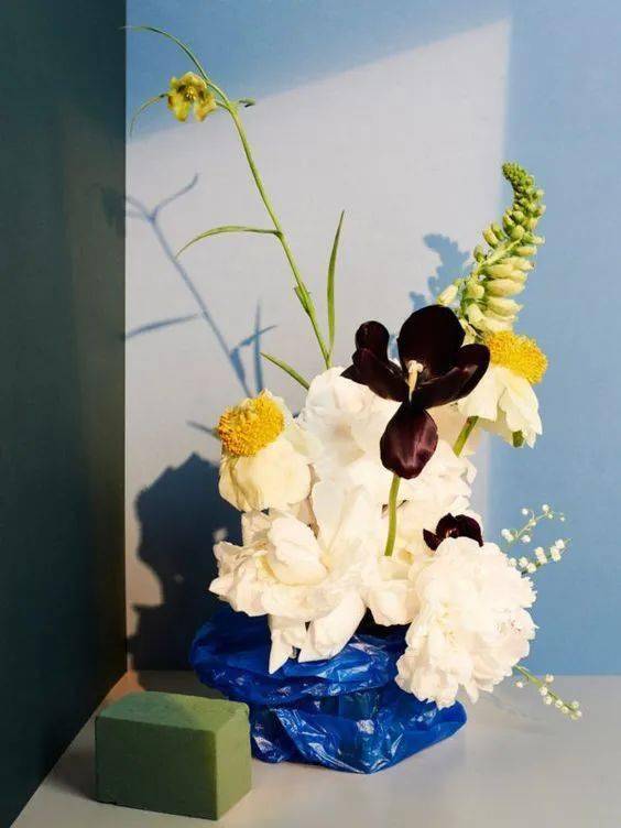 Helle|“长得这么好看，花瓶就花瓶吧”