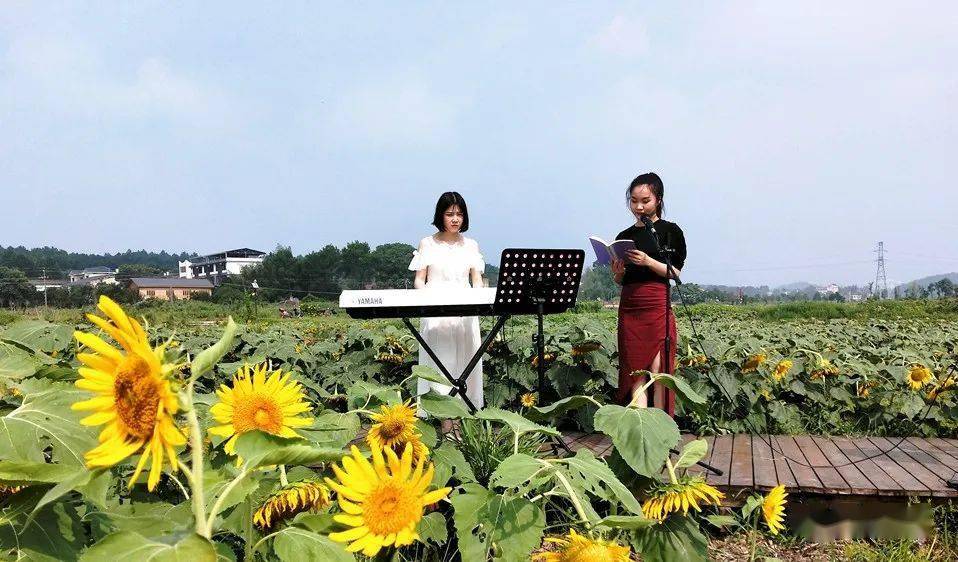 南岳全域旅游乡村音乐节,带你度过不一样的夏天