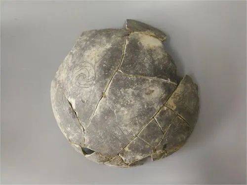 遗址|愤怒的小鸟猪,别装了!这只3200年前的猪一出土就冲上热搜