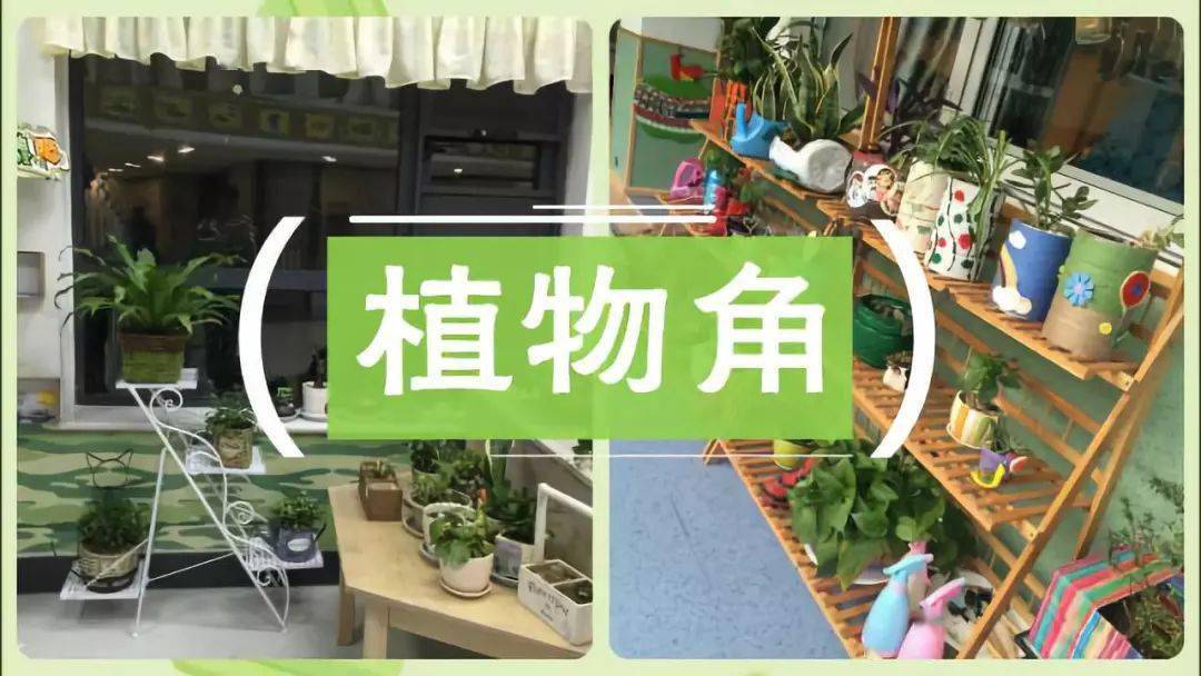 植物|让种植成为孩子探索自然的起点！【植物角】60种植物角新玩法