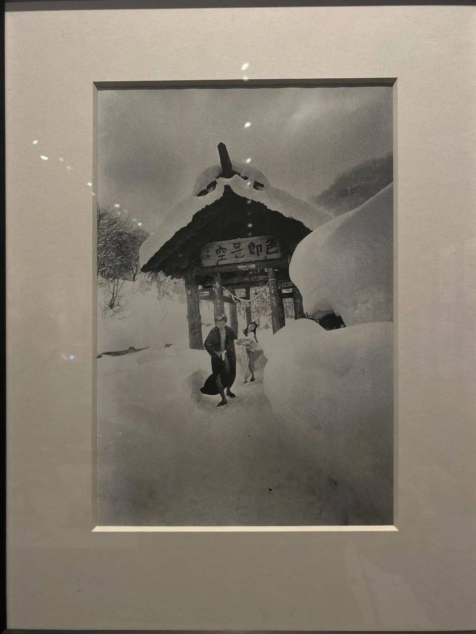 写于七月逝去处