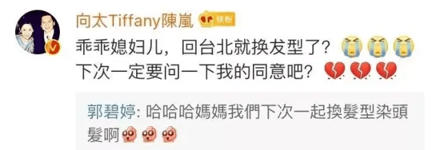 向太|十七：被豪门婆婆“绑架”的媳妇儿，不生男孩不给结婚？还不是图她的翡翠…