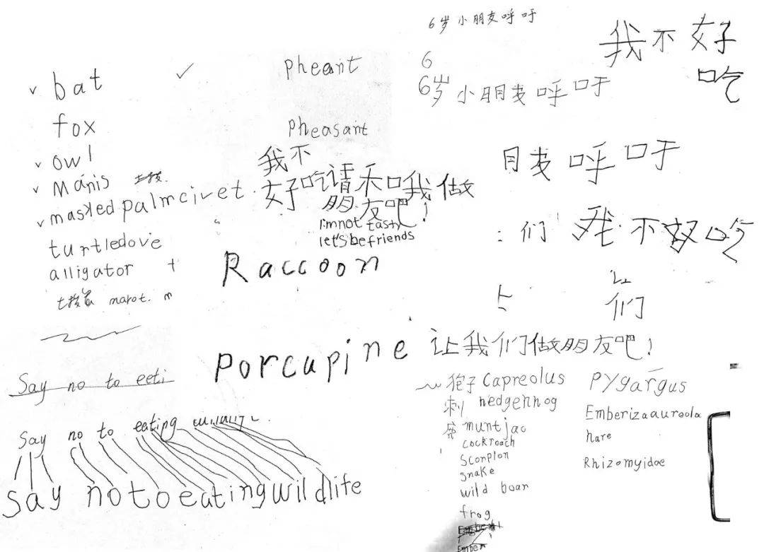 张家爷爷的小花狗简谱_张家齐(3)