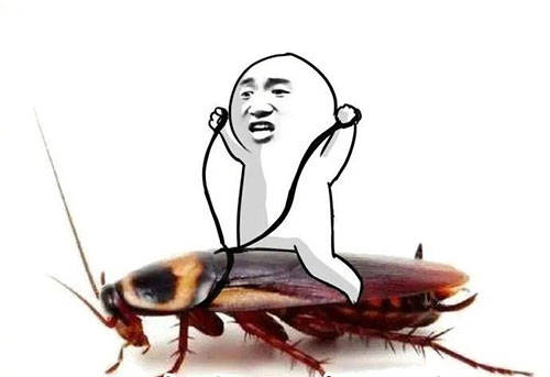 崩溃|姑娘起夜突遇蟑螂瞬间崩溃！不敢睡轮番找爸妈男友倾诉，最后拦住了外卖大叔…