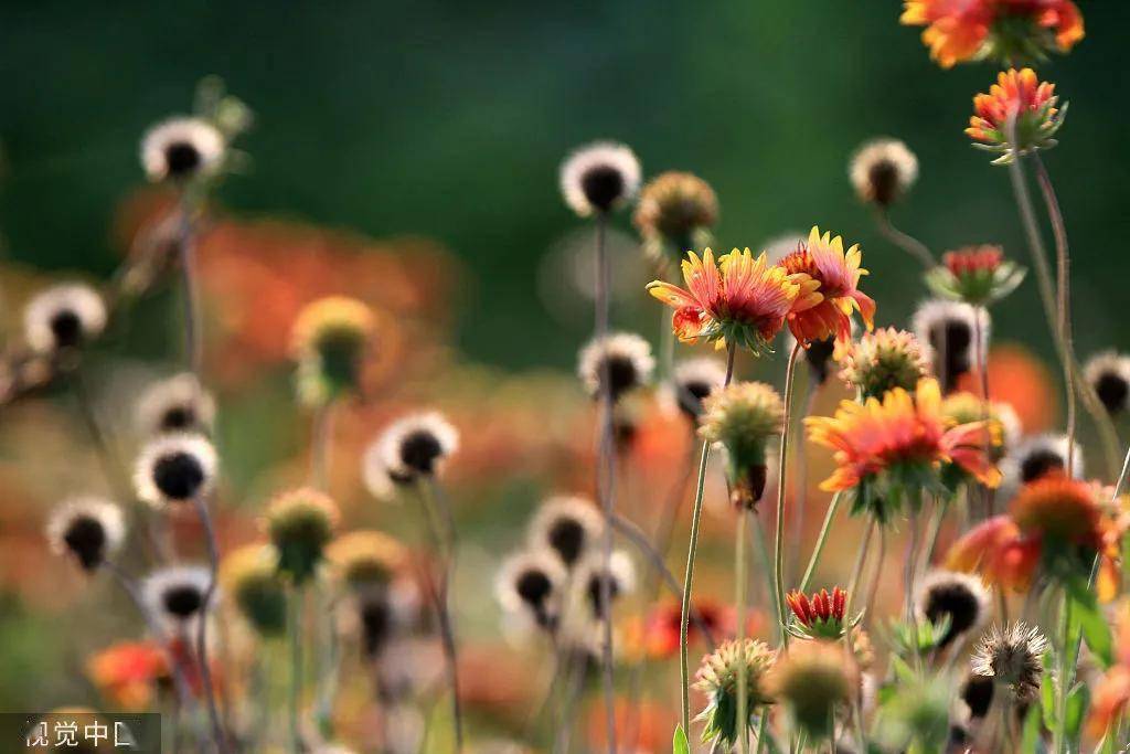 必修课|每个人一生的必修课（值得一读）