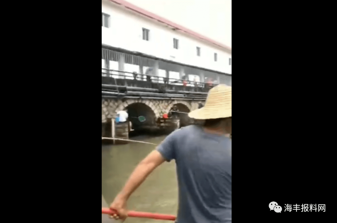 螃蟹|真是够拼的！有人收获颇丰...暴雨天气！海丰这些人为了抓更多