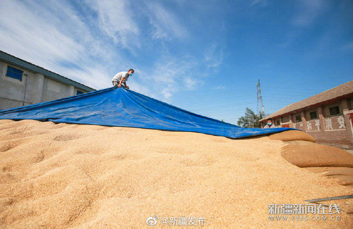 颗粒归仓|颗粒归仓 管护正忙