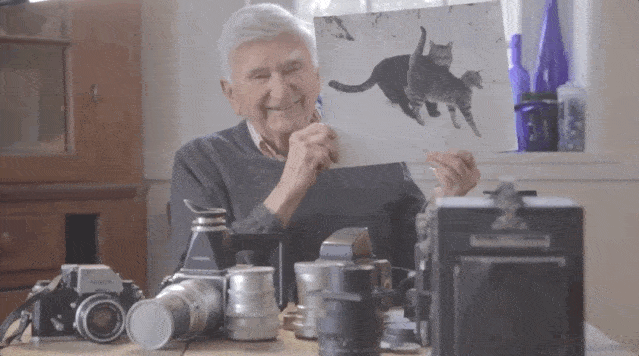 年拍|铲屎官必看!被誉为拍猫教父的他,70年拍猫历史全在这